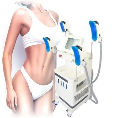 Cryolipolysis 4 Handles Crioterapia Machine Double Chin Removal Treatment