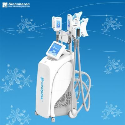 Cryolipolysis Double Chin Removal Fat Freeze Machine with CE Approval Portable (J)